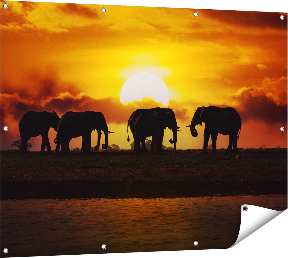 Gards Tuinposter Silhouet Olifanten tijdens Zonsondergang - 120x90 cm - Tuindoek - Tuindecoratie - Wanddecoratie buiten - Tuinschilderij Multikleur
