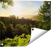 Gards Tuinposter Zonsondergang vanuit een Bos - 50x40 cm - Tuindoek - Tuindecoratie - Wanddecoratie buiten - Tuinschilderij