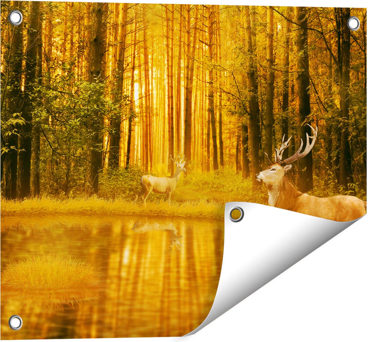 Gards Tuinposter Twee Herten in het Bos bij het Water - 50x40 cm - Tuindoek - Tuindecoratie - Wanddecoratie buiten - Tuinschilderij Multikleur