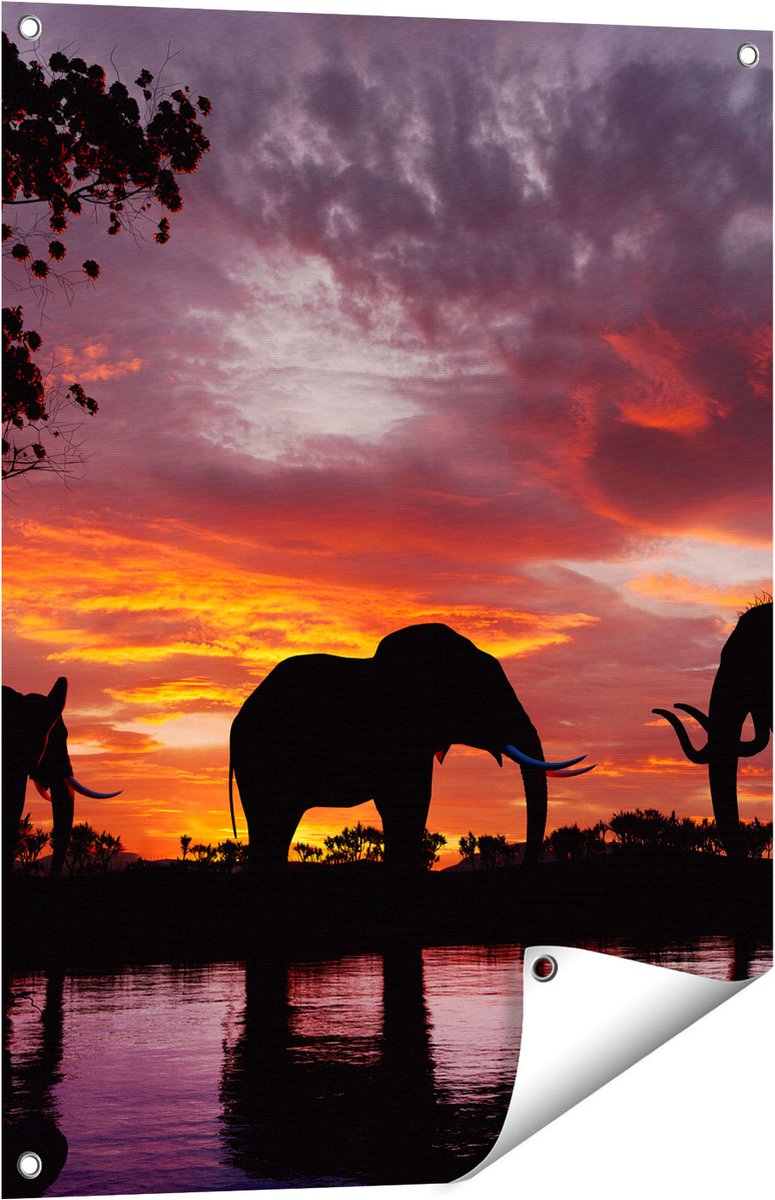 Gards Tuinposter Olifanten tijdens Zonsondergang - Silhouet - 60x80 cm - Tuindoek - Tuindecoratie - Wanddecoratie buiten - Tuinschilderij Multikleur