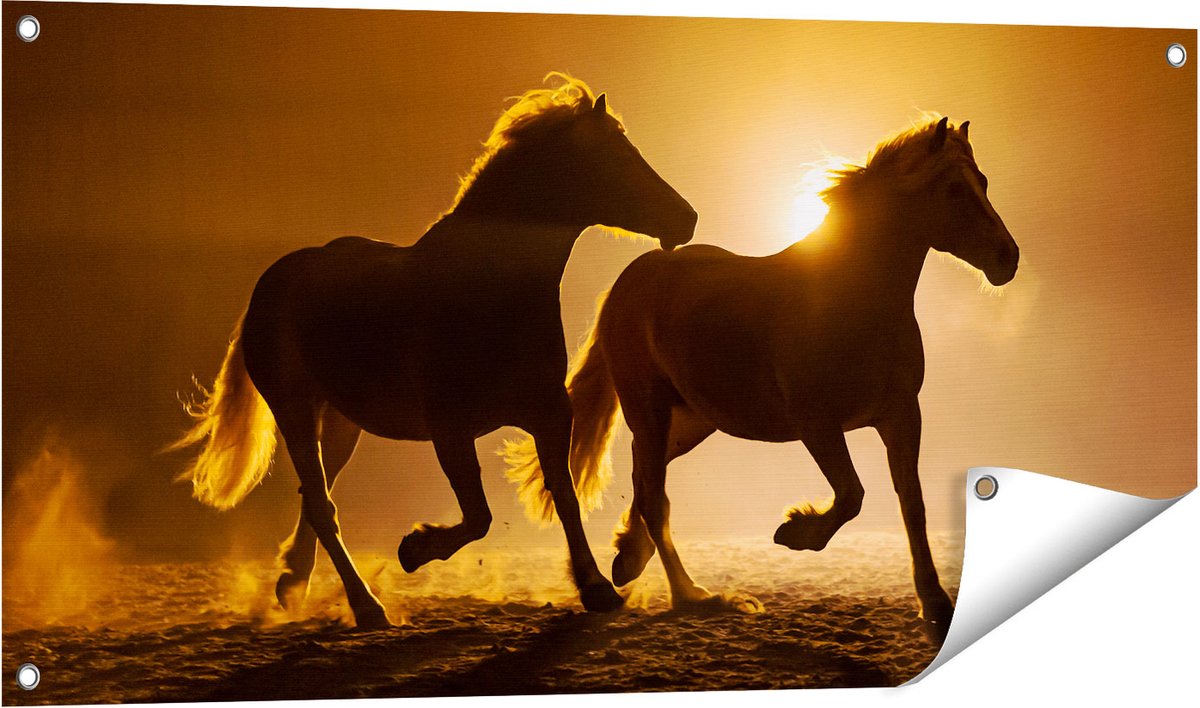 Gards Tuinposter Silhouet van Twee Paarden - 100x50 cm - Tuindoek - Tuindecoratie - Wanddecoratie buiten - Tuinschilderij Multikleur