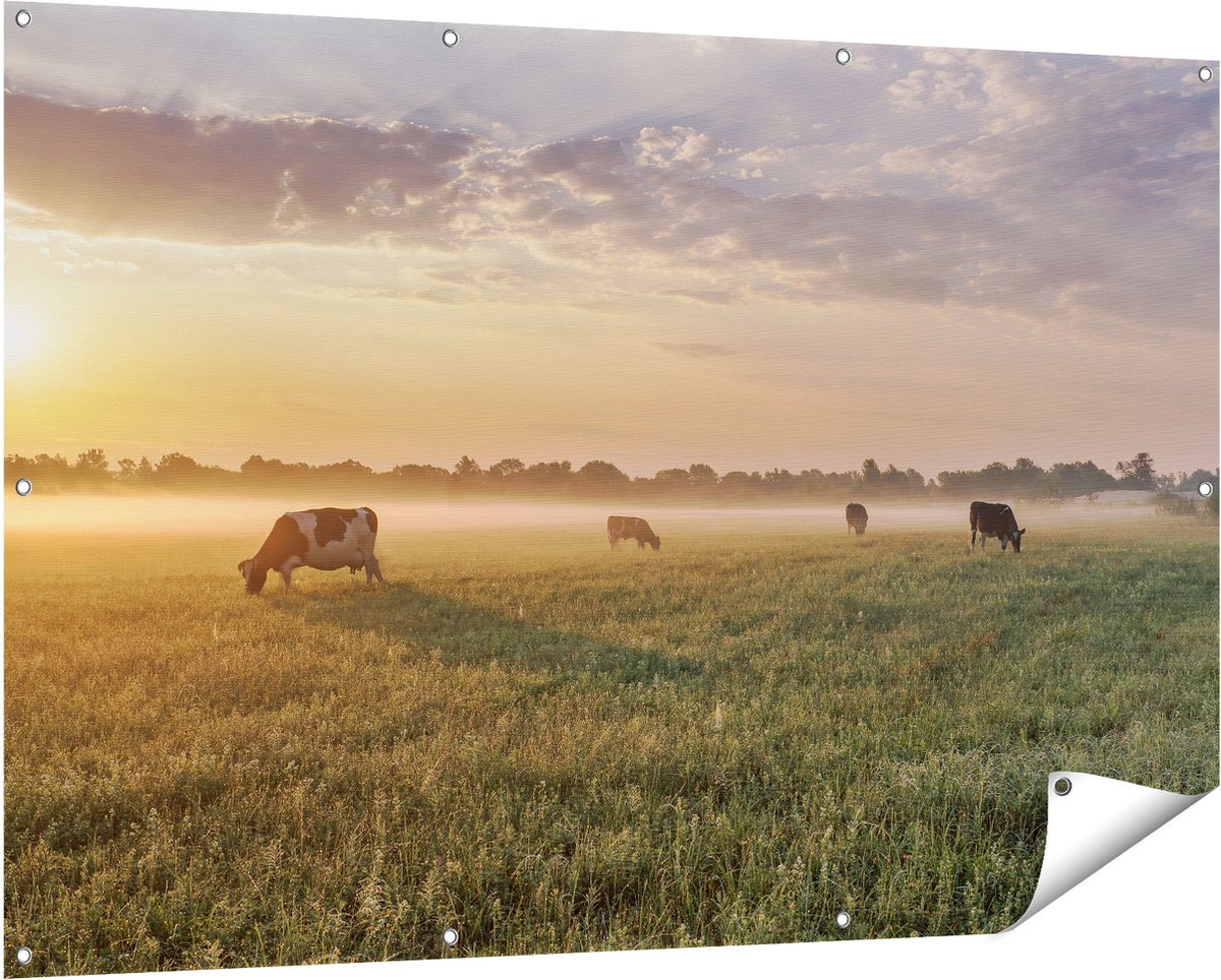Gards Tuinposter Koeien in de Wei tijdens Zonsopkomst - 150x100 cm - Tuindoek - Tuindecoratie - Wanddecoratie buiten - Tuinschilderij Multikleur