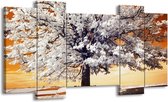 120 cm x 65 cm