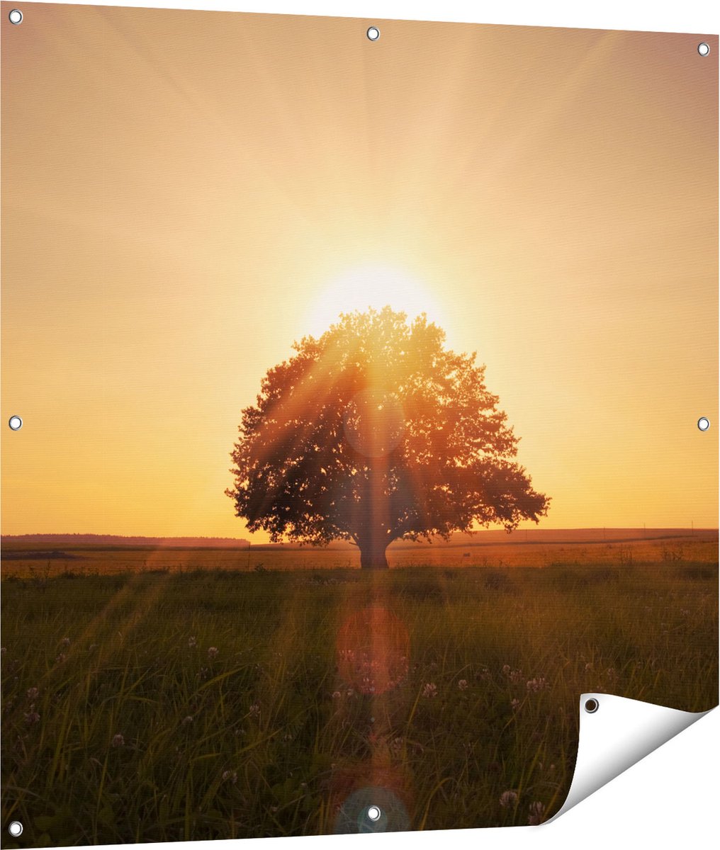 Gards Tuinposter Zonsondergang Achter een Grote Boom - 100x100 cm - Tuindoek - Tuindecoratie - Wanddecoratie buiten - Tuinschilderij Multikleur