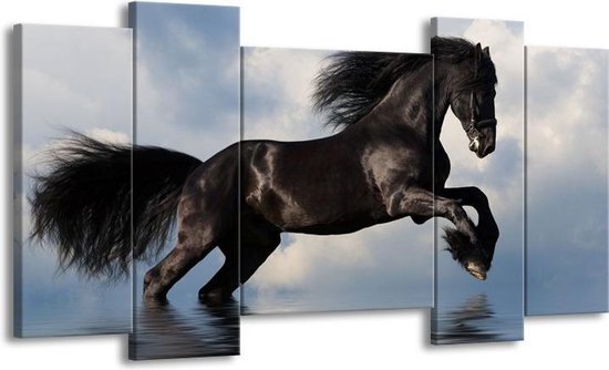 GroepArt - Schilderij - Paard - Zwart, Blauw, Wit - 120x65 5Luik - Foto Op Canvas - GroepArt 6000+ Schilderijen 0p Canvas Art Collectie - Wanddecoratie
