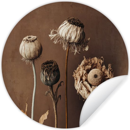 WallCircle - Stickers muraux - Cercle Papier Peint - Vintage - Fleurs -  Plantes 