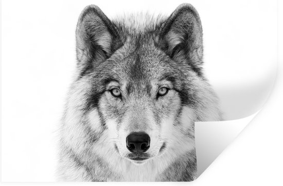 Muurstickers - Sticker Folie - Wolf - Dieren - Portret - Wit - 90x60 cm - Plakfolie - Muurstickers Kinderkamer - Zelfklevend Behang - Zelfklevend behangpapier - Stickerfolie