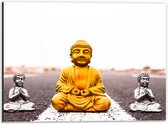 Dibond - Gouden en Zilveren Miniatuur Buddha_s op Asfalt weg - 40x30 cm Foto op Aluminium (Wanddecoratie van metaal)