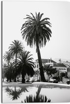 WallClassics - Dibond - Palmbomen in Amerikaanse Buurt (Zwart- wit) - 50x75 cm Foto op Aluminium (Met Ophangsysteem)