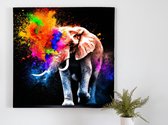 Elephant of Colorful Explosions kunst - 80x80 centimeter op Canvas | Foto op Canvas - wanddecoratie