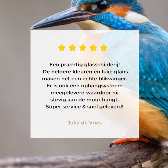 ® Glasschilderij 30x20 cm - Schilderij acrylglas - IJsvogel - Takken - Portret - Foto op glas - Muurdecoratie woonkamer - Wanddecoratie slaapkamer - Schilderijen