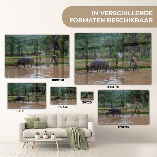 MuchoWow® Peinture sur verre 30x20 cm - Peinture sur verre acrylique - Un agriculteur asiatique laboure sa terre avec un bœuf - Photo sur verre - Peintures
