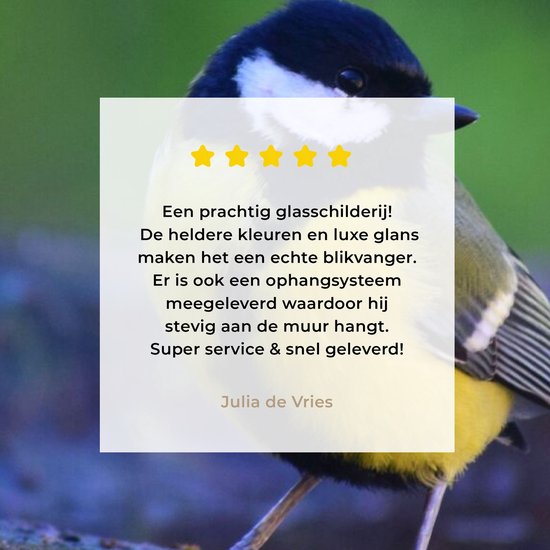 MuchoWow® Peinture sur verre 40x30 cm - Peinture sur verre acrylique - Mésange charbonnière sur un bain d'oiseaux en granit - Photo sur verre - Peintures