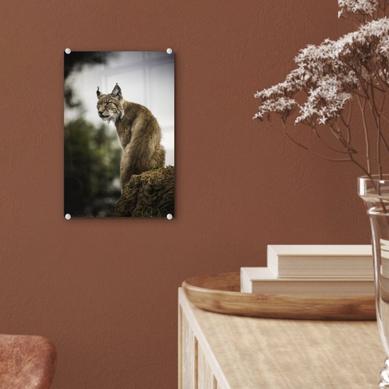 ® Glasschilderij 20x30 cm - Schilderij acrylglas - Lynx zit op een steen - Foto op glas - Muurdecoratie woonkamer - Wanddecoratie slaapkamer - Schilderijen