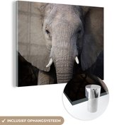 MuchoWow® Glasschilderij 80x60 cm - Schilderij acrylglas - Close-up van een olifant - Foto op glas - Schilderijen