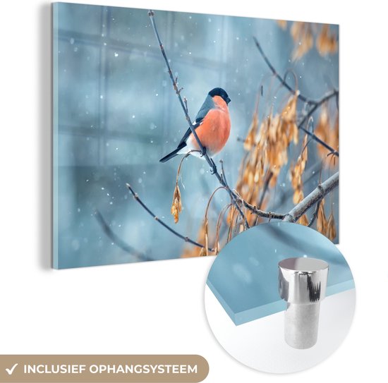 MuchoWow® Peinture sur Verre - Neige - Vogel - Animal - 120x80 cm - Peintures sur Verre Peintures - Photo sur Glas