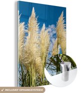 MuchoWow® Glasschilderij 120x160 cm - Schilderij acrylglas - Pampasgras - Plant - Natuur - Foto op glas - Schilderijen