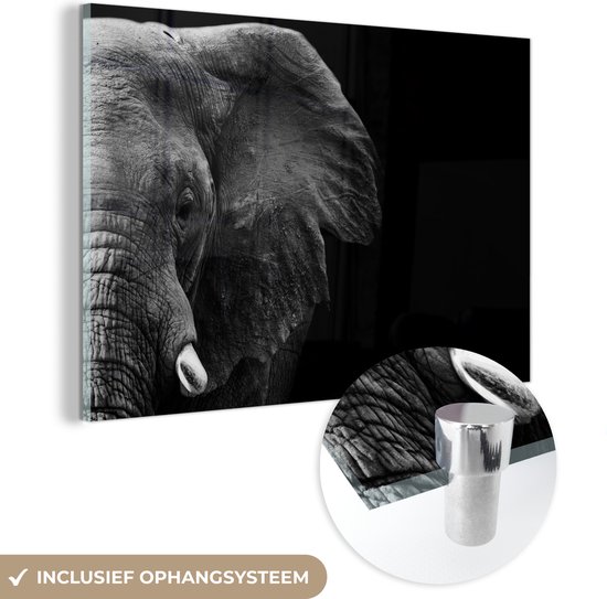 Glasschilderij - Foto op glas - Wilde dieren - Olifant - Zwart - Wit - Acrylglas - 30x20 cm - Glasschilderij olifant - Muurdecoratie - Wanddecoratie glas - Glasschilderij dieren