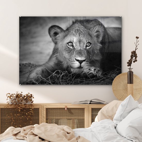 MuchoWow - Glasschilderij - Foto op glas - Wanddecoratie - Acrylglas - Wilde dieren - Leeuw - Natuur - Zwart - Wit - Woonkamer - 120x80 cm - Muurdecoratie dieren - Kamer decoratie - Schilderij glas