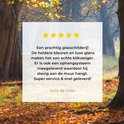 Product afbeelding  9