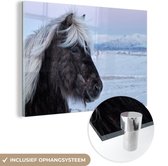 MuchoWow® Glasschilderij 120x80 cm - Schilderij acrylglas - Paard - Sneeuw - Bruin - Foto op glas - Schilderijen
