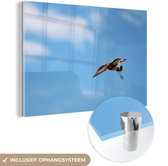MuchoWow® Glasschilderij 150x100 cm - Schilderij acrylglas - Een grutto vliegt door de lucht - Foto op glas - Schilderijen