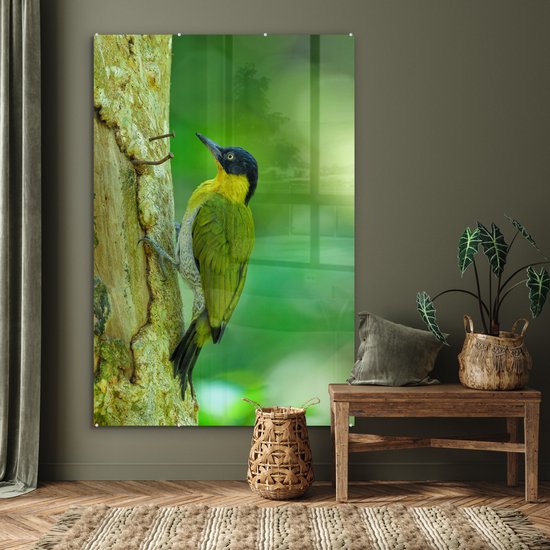 MuchoWow® Peinture sur verre 100x150 cm - Peinture sur verre acrylique - Un beau pic terrestre à fourrure jaune grimpe verticalement sur un arbre - Photo sur verre - Peintures