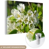 MuchoWow® Glasschilderij 120x80 cm - Schilderij acrylglas - Witte bloemen va een peer - Foto op glas - Schilderijen