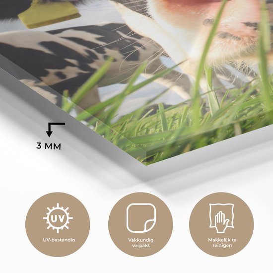 Peinture sur Verre - Vaches - Herbe - Nuages - 20x20 cm - Peintures sur Verre Peintures - Photo sur Glas