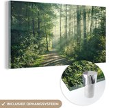 MuchoWow® Glasschilderij 120x60 cm - Schilderij acrylglas - Bos - Pad - Zon - Bomen - Groen - Natuur - Foto op glas - Schilderijen