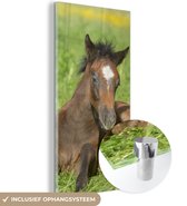 MuchoWow® Glasschilderij 80x160 cm - Schilderij glas - Paarden - Licht - Gras - Foto op acrylglas - Schilderijen