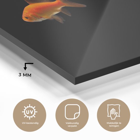 MuchoWow® Peinture sur verre 40x20 cm - Peinture sur verre acrylique - Poisson rouge - Animaux - Zwart - Photo sur verre - Peintures