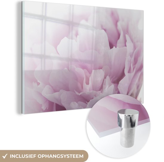 MuchoWow® Glasschilderij 120x80 cm - Schilderij acrylglas - Close-up van een roze pioenroos - Foto op glas - Schilderijen
