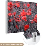 MuchoWow® Glasschilderij 20x20 cm - Schilderij acrylglas - Rode Klaprozen in een zwart wit afbeelding - Foto op glas - Schilderijen