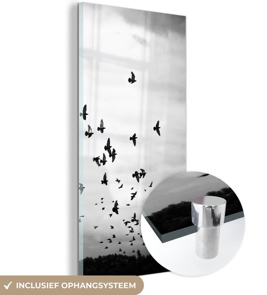 Glasschilderij - Foto op glas - Acrylglas - Vogel - Wolken - Zwart - Wit - Woonkamer - Muurdecoratie - 20x40 cm - Wanddecoratie dieren - Woondecoratie