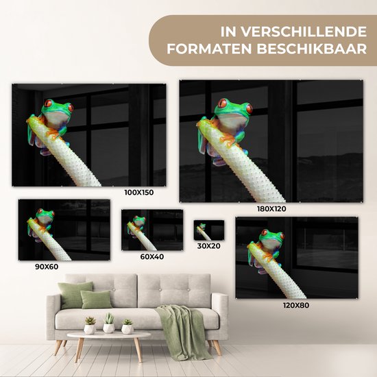 MuchoWow® Peinture sur verre 180x120 cm - Peinture sur verre acrylique - Grenouille - Animaux - Plante - Photo sur verre - Peintures