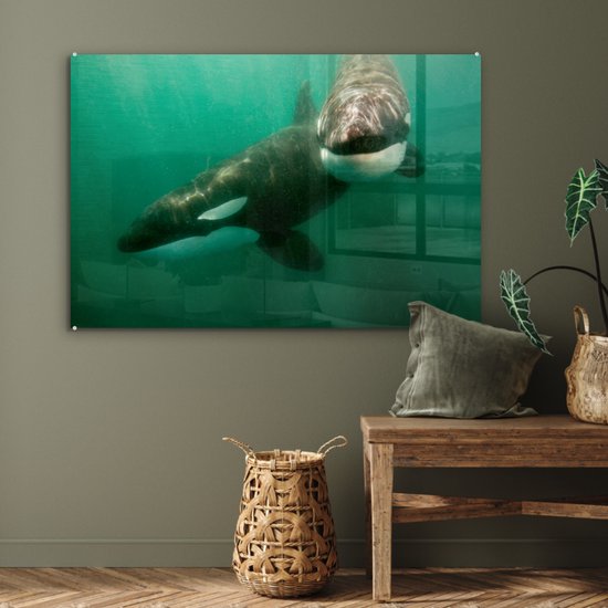 Peinture sur verre - Deux orques dans l'eau - 90x60 cm - Peintures Acryliques - Photo sur Glas
