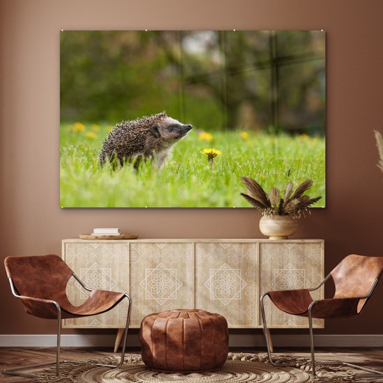 MuchoWow® Peinture sur verre 180x120 cm - Peinture acrylique sur verre - Hérisson - Bloem - Printemps - Photo sur verre - Peintures