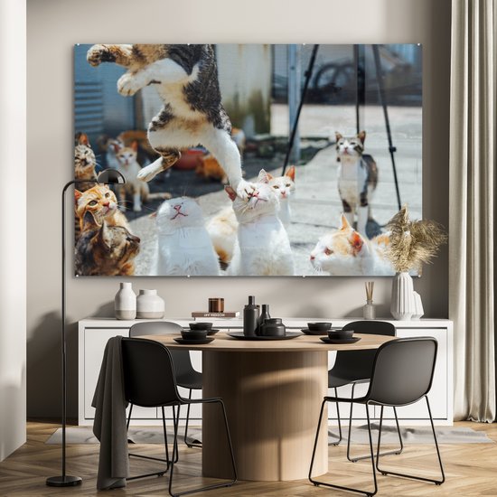® Glasschilderij 180x120 cm - Schilderij acrylglas - Komische kat die over andere katten heen springt - Foto op glas - Muurdecoratie woonkamer - Wanddecoratie slaapkamer - Schilderijen