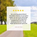 Afbeelding nummer  7