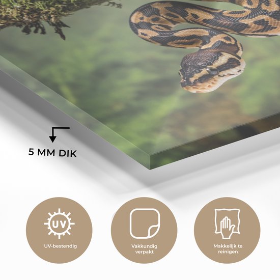 Peinture sur verre MuchoWow® 120x80 cm - Peinture acrylique sur verre - Un serpent dans un arbre - Photo sur verre - Peintures