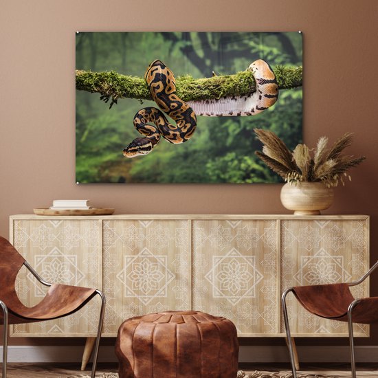Peinture sur verre MuchoWow® 120x80 cm - Peinture acrylique sur verre - Un serpent dans un arbre - Photo sur verre - Peintures