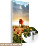 MuchoWow® Glasschilderij 40x80 cm - Schilderij acrylglas - Kleurrijke lucht boven vele Klaprozen - Foto op glas - Schilderijen