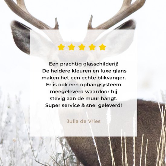 MuchoWow® Peinture sur verre 40x80 cm - Peinture acrylique sur verre - Cerf - Hiver - Neige - Animaux - Saisons - Wit - Photo sur verre - Peintures