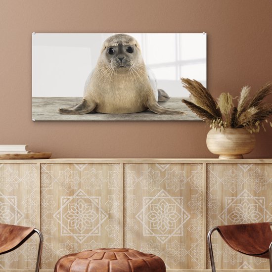 Peinture sur Verre - Chambre de bébé - Sceau - Chambre - Salon - 80x40 cm - Peintures sur Verre Peintures - Photo sur Glas