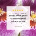 Product afbeelding  10