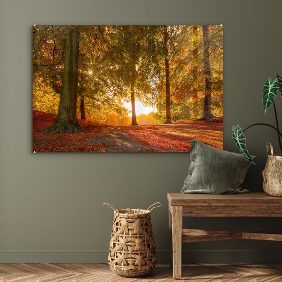 MuchoWow® Glasschilderij 120x80 cm - Schilderij acrylglas - Herfst - Zon - Bos - Foto op glas - Schilderijen