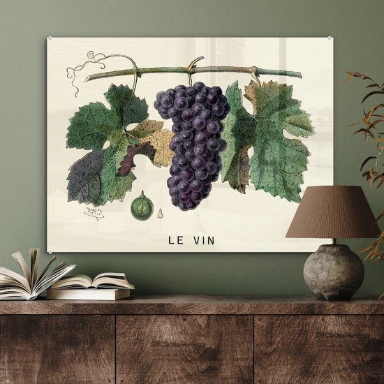 MuchoWow® Peinture sur Verre - Une Illustration de Raisins sur une Vigne - 80x60 cm - Peintures sur Verre Peintures - Photo sur Glas