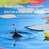 Stressbewältigung & Stressregulation: Entspannende Musik gegen Angst, Depressionen und Kopfschmerzen