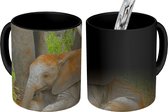 Magische Mok - Foto op Warmte Mokken - Koffiemok - Moeder olifant zorgt voor haar kind - Magic Mok - Beker - 350 ML - Theemok